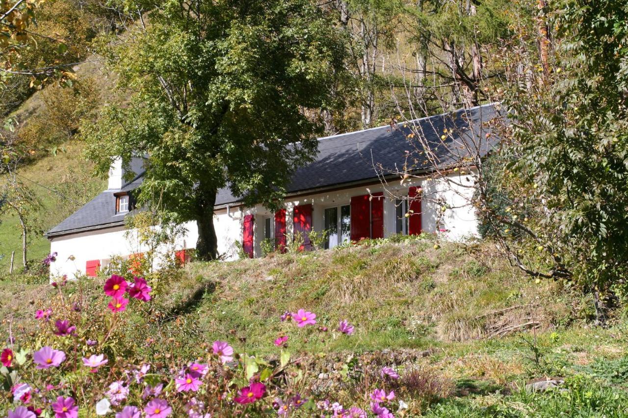 Comfortable Farm House Petit Barzun, In The Parc National Pyrenees Bareges Ngoại thất bức ảnh